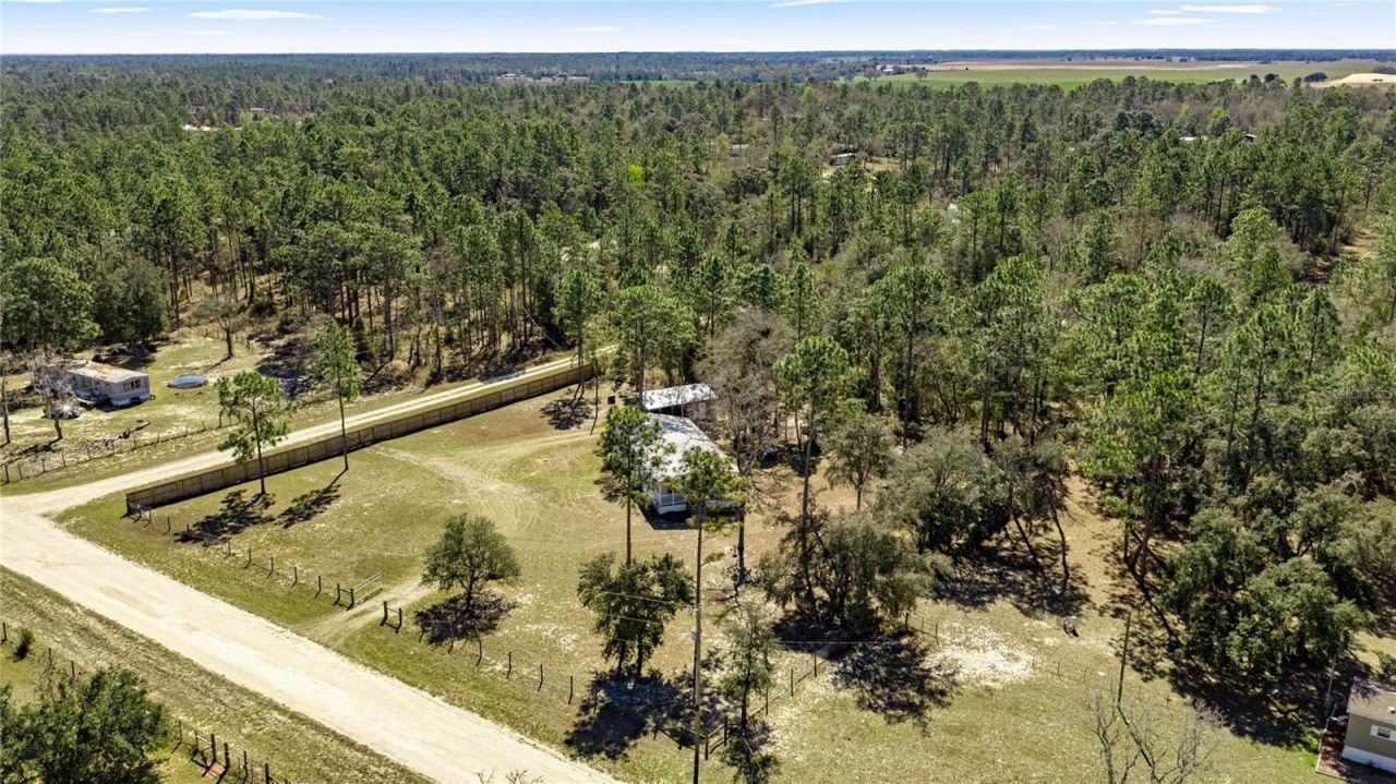 12150 NE 15 Street, Williston, FL 32696 Photo