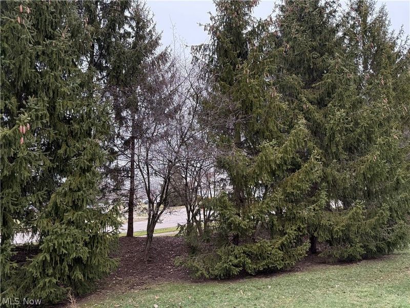 4881 Quarry Lane, Unit #59, Cleveland, OH 44143 Photo 6