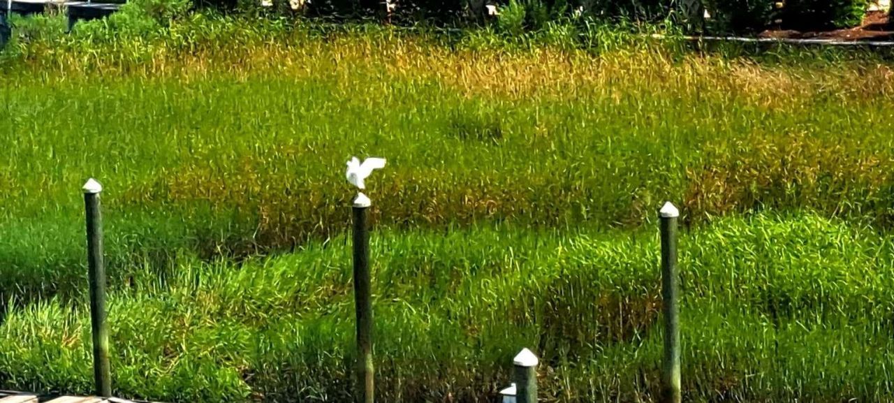 4409 Eastport Blvd. Photo 23