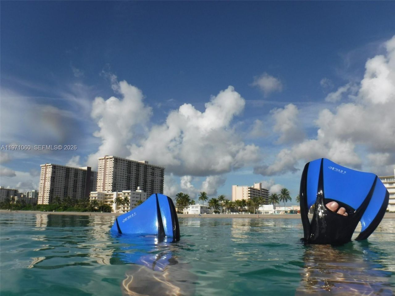 1425 Arthur St, Unit 315B, Hollywood, FL 33020 Photo