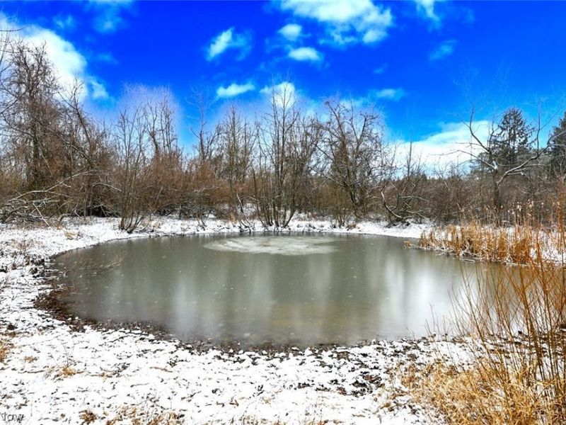 6151 Taylor Road, Clinton, OH 44216 Photo 3