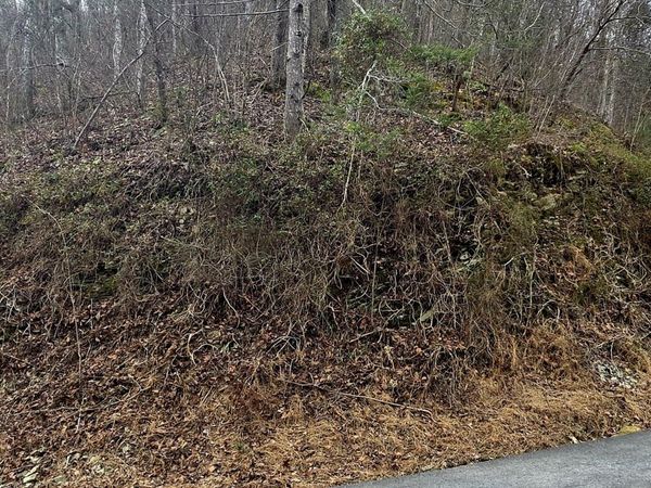 Lot 0006 Wildcat Ridge Rd, Sevierville, TN 37862