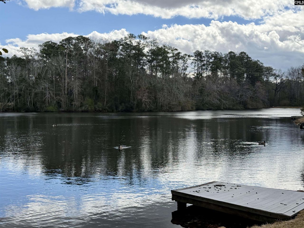 74 Ridge Lake Drive Photo 32