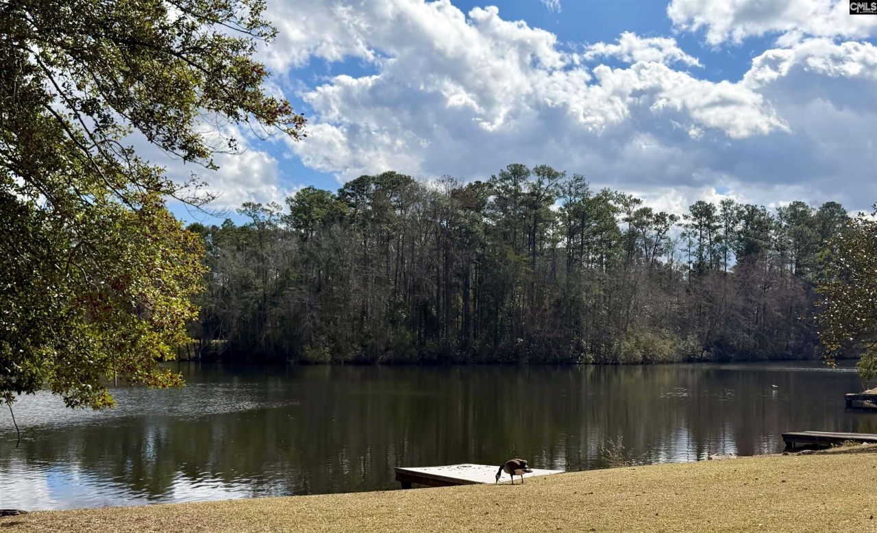 74 Ridge Lake Drive Photo 33