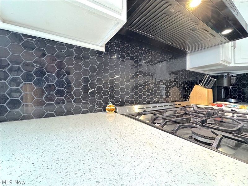 9309 Garfield Boulevard, Cleveland, OH 44125 Photo 15