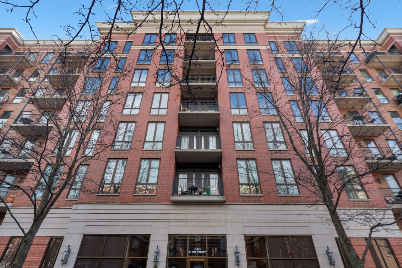 343 W Old Town Court, Unit 204, Chicago, IL 60610 Main Photo