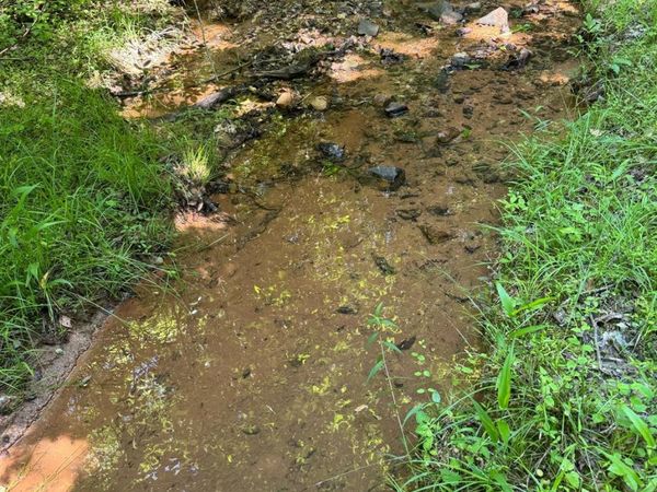 Lot 54 Billings Hill Church Road, Traphill, NC 28683