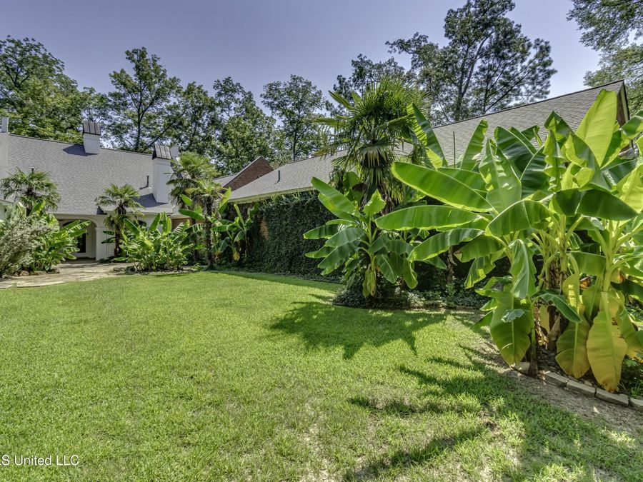 Property Image 81