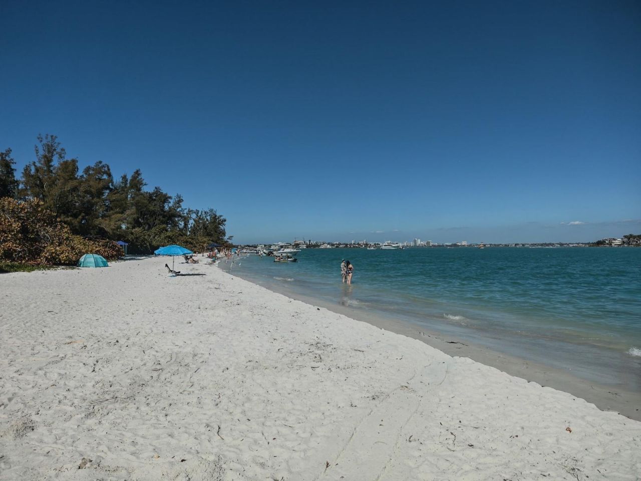 1770 Benjamin Franklin Drive, Unit 206, Sarasota, FL 34236 Photo