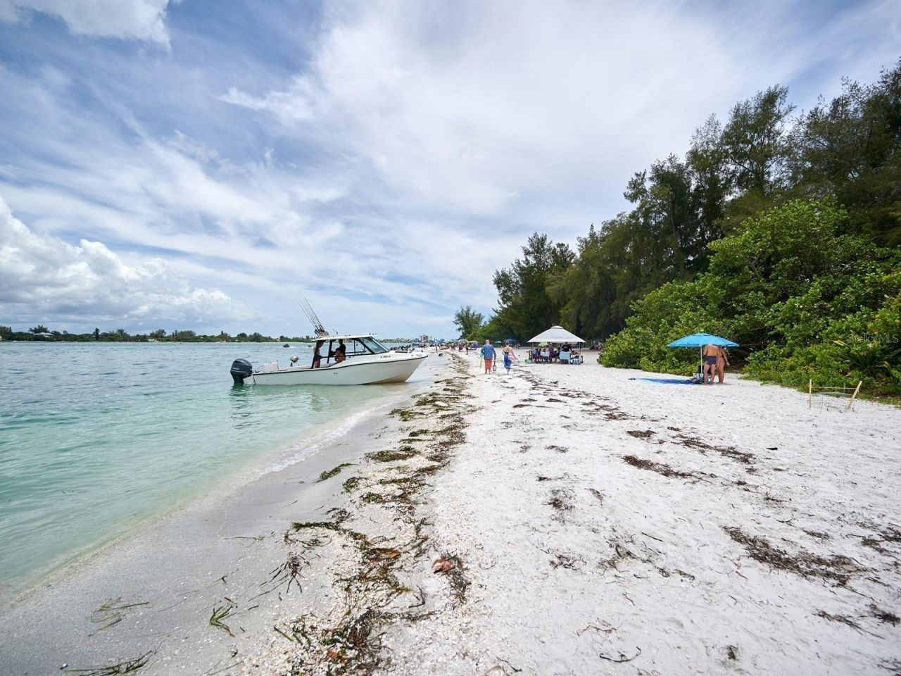 1770 Benjamin Franklin Drive, Unit 206, Sarasota, FL 34236 Photo