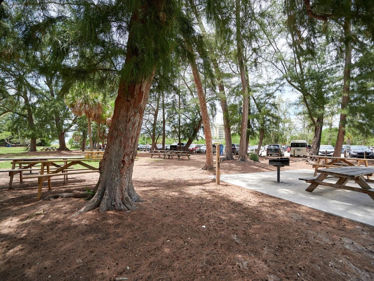 1770 Benjamin Franklin Drive, Unit 206, Sarasota, FL 34236 Photo