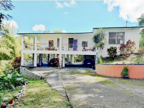 Carr 174 BO MINILLAS SECT VERGARA, BAYAMON, PR 00956