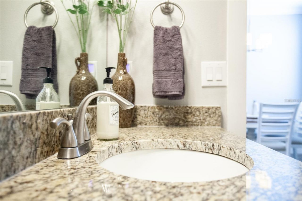 1273 Savona Drive Ne, Saint Petersburg, FL 33702 Photo