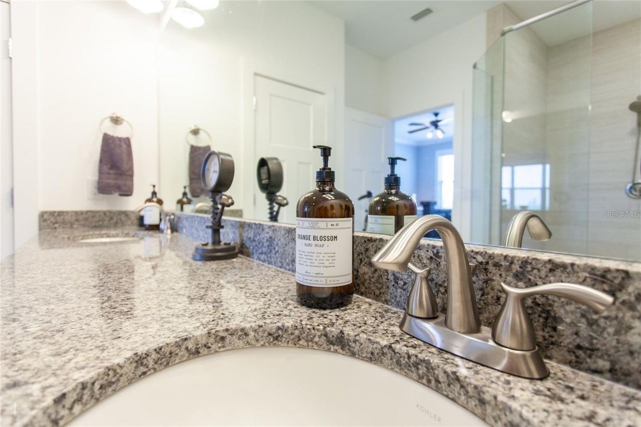 1273 Savona Drive Ne, Saint Petersburg, FL 33702 Photo