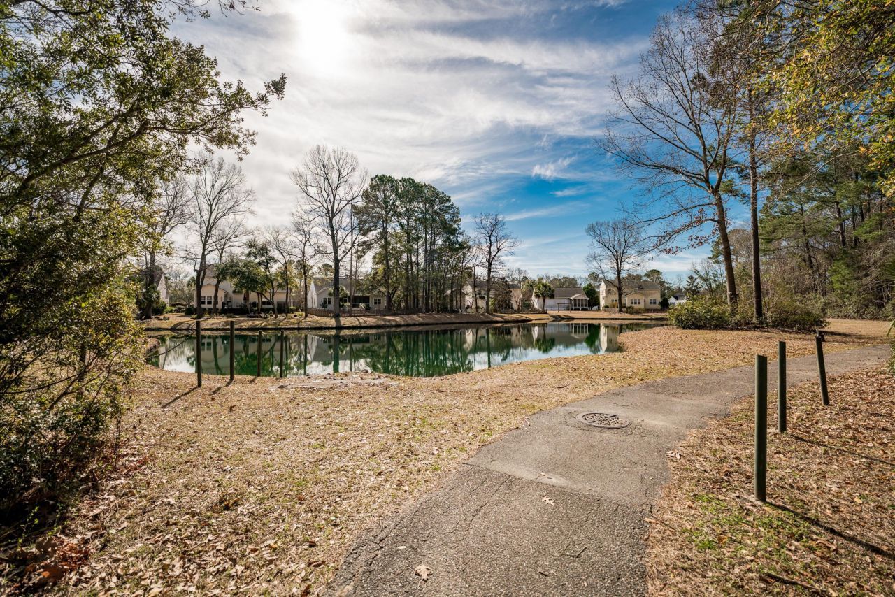 1905 Bristle Pine Court Photo 35