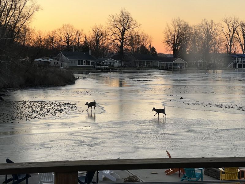 11076 Newland Drive, Lakeview, OH 43331 Photo 56