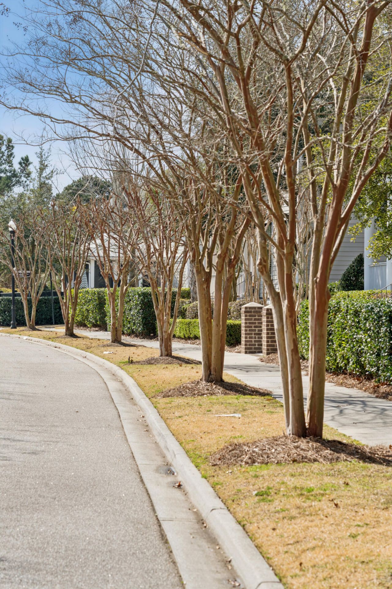 217 Amberjack Lane Photo 63