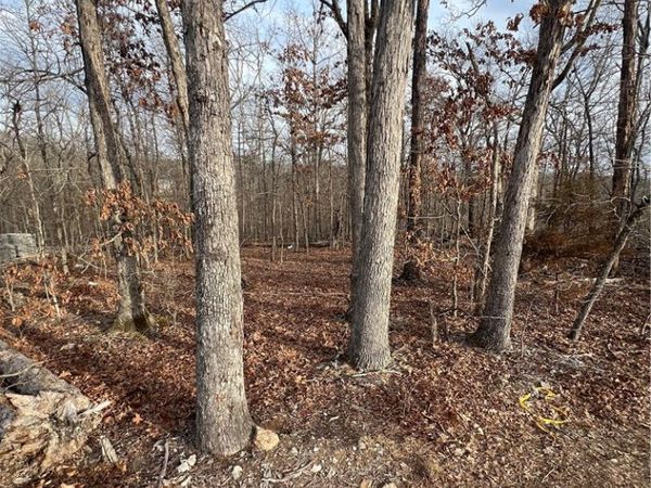 Murphy Drive, Bella Vista, AR 72715