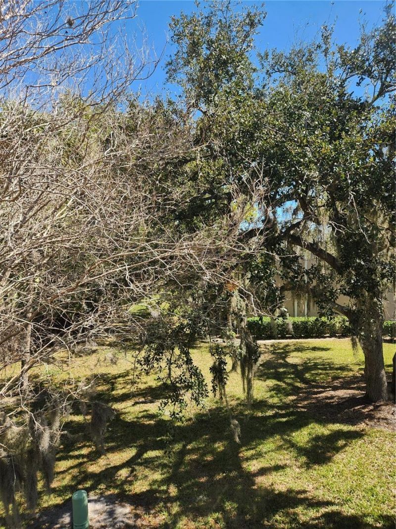 3439 Tallywood Lane, Unit 7139, Sarasota, FL 34237 Photo