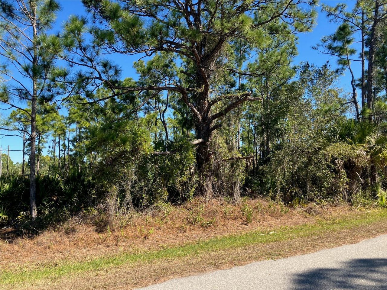 26334 Eager Road , Punta Gorda, FL 33955 Photo