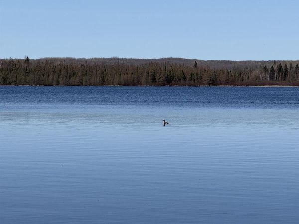 Lot #4 ALLEN ROAD, WI 54520