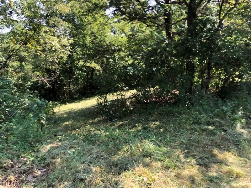 1475 St Rte 124, Coolville, OH 45723 Photo 10