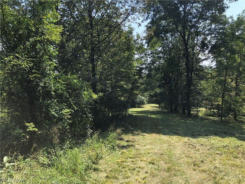 1475 St Rte 124, Coolville, OH 45723 Photo 13