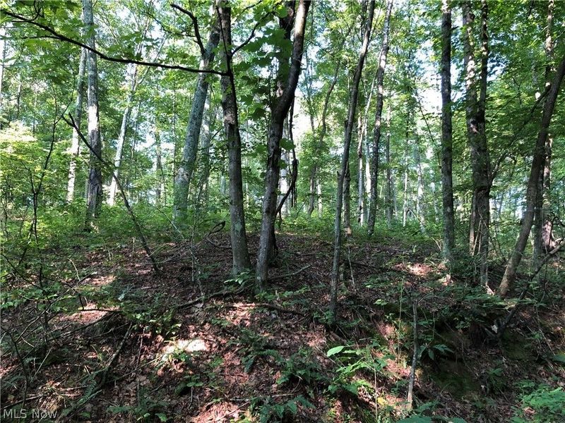 1475 St Rte 124, Coolville, OH 45723 Photo 15