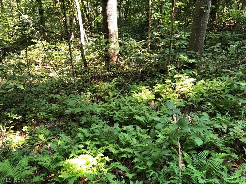 1475 St Rte 124, Coolville, OH 45723 Photo 16