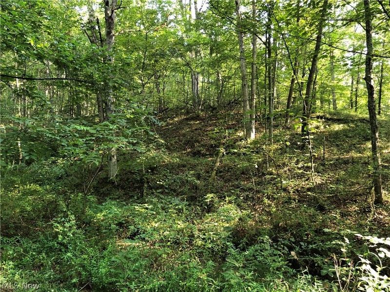 1475 St Rte 124, Coolville, OH 45723 Photo 17