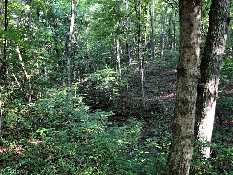 1475 St Rte 124, Coolville, OH 45723 Photo 18