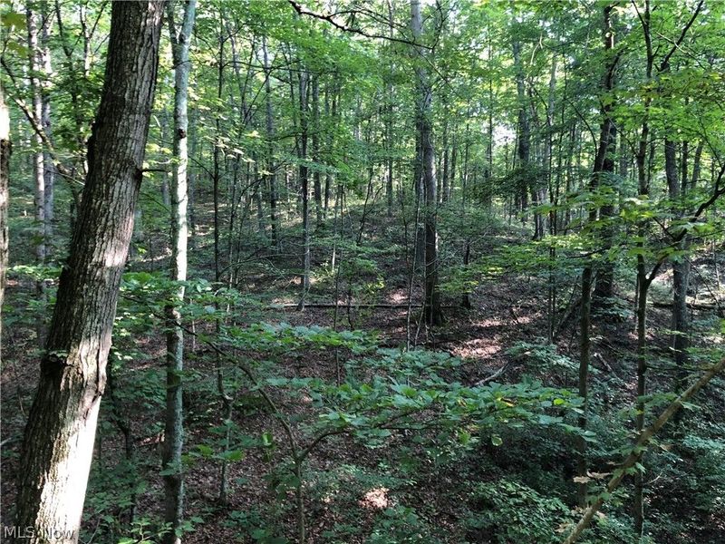 1475 St Rte 124, Coolville, OH 45723 Photo 19