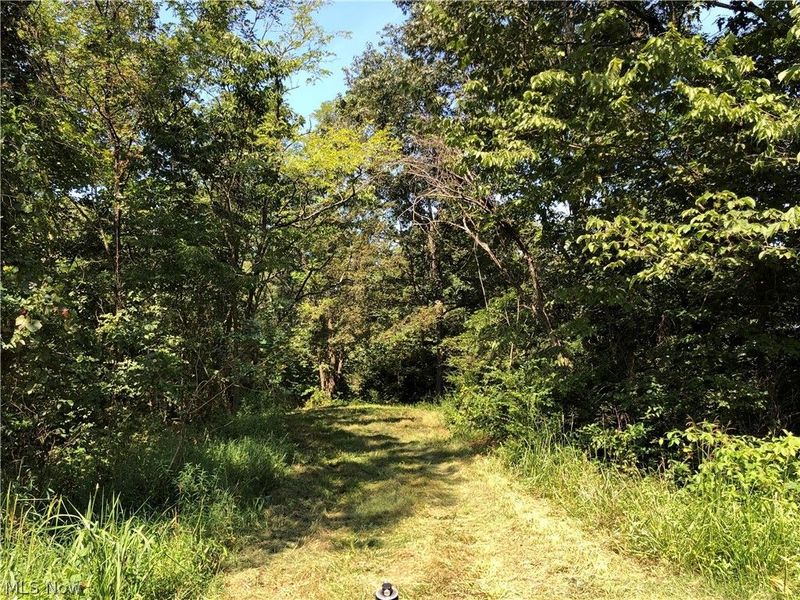 1475 St Rte 124, Coolville, OH 45723 Photo 21