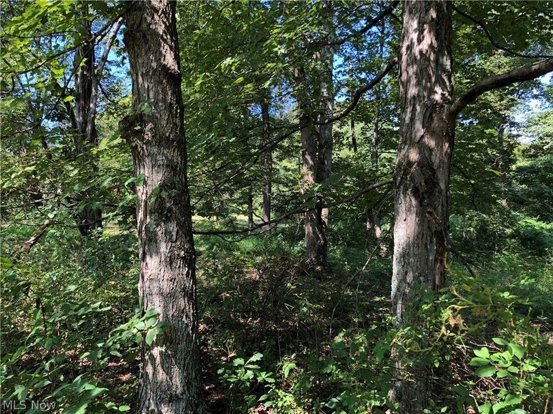 1475 St Rte 124, Coolville, OH 45723 Photo 22