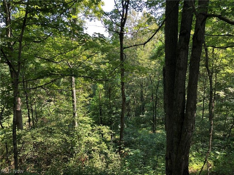 1475 St Rte 124, Coolville, OH 45723 Photo 24