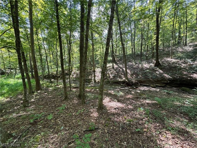 1475 St Rte 124, Coolville, OH 45723 Photo 26