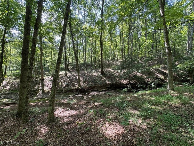 1475 St Rte 124, Coolville, OH 45723 Photo 27