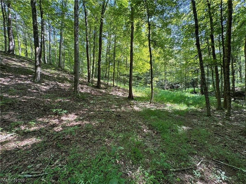 1475 St Rte 124, Coolville, OH 45723 Photo 28