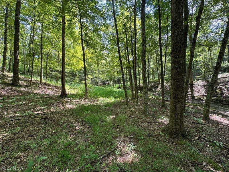 1475 St Rte 124, Coolville, OH 45723 Photo 29