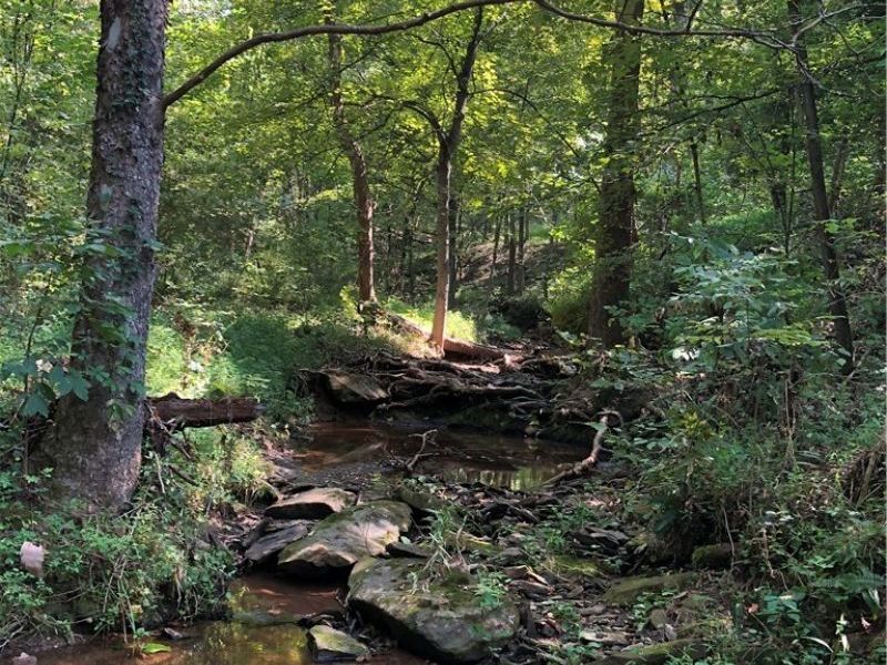 1475 St Rte 124, Coolville, OH 45723 Photo 3