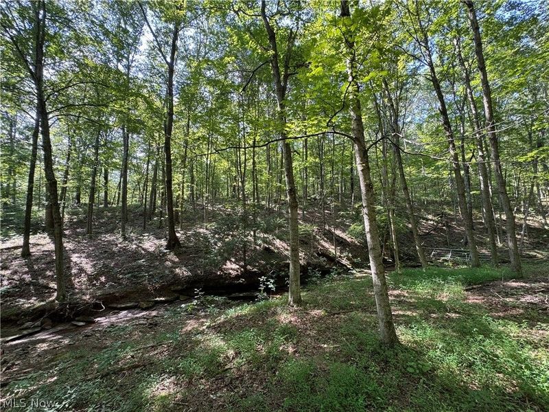 1475 St Rte 124, Coolville, OH 45723 Photo 30