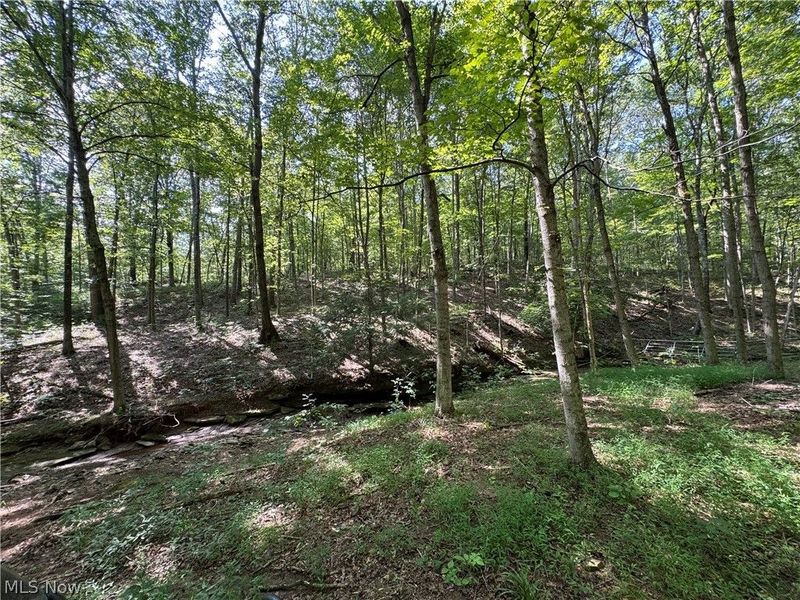 1475 St Rte 124, Coolville, OH 45723 Photo 31