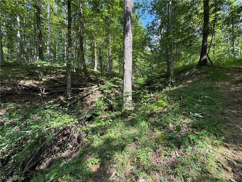 1475 St Rte 124, Coolville, OH 45723 Photo 32