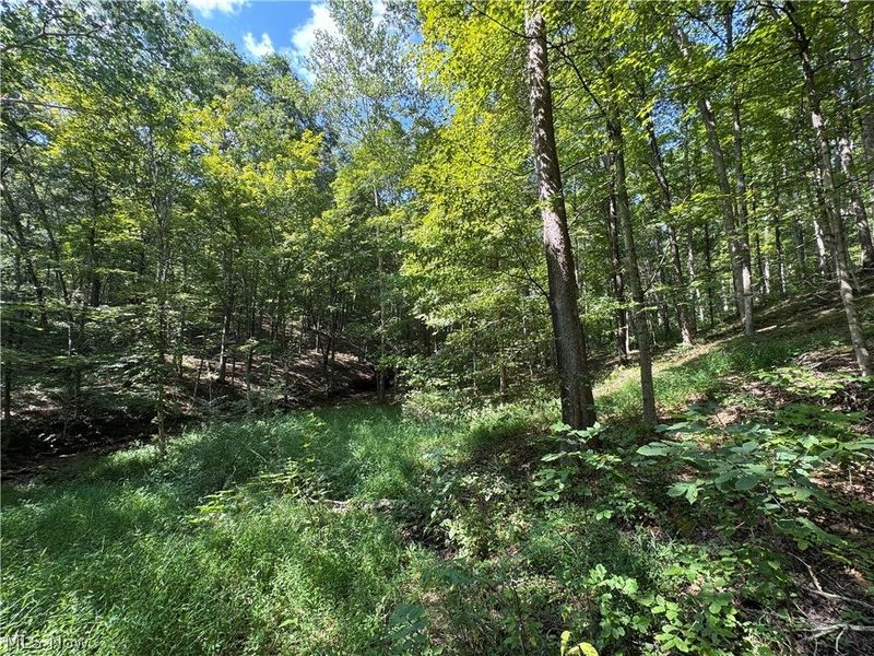 1475 St Rte 124, Coolville, OH 45723 Photo 33