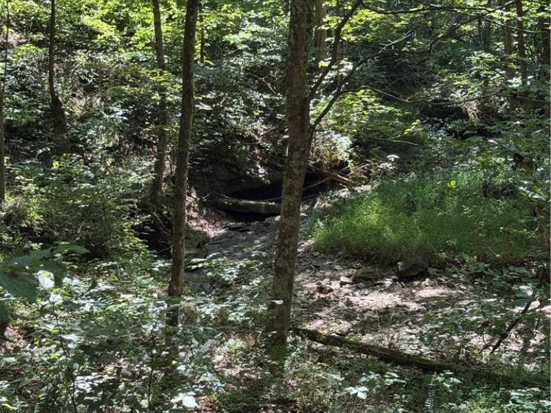 1475 St Rte 124, Coolville, OH 45723 Photo 34