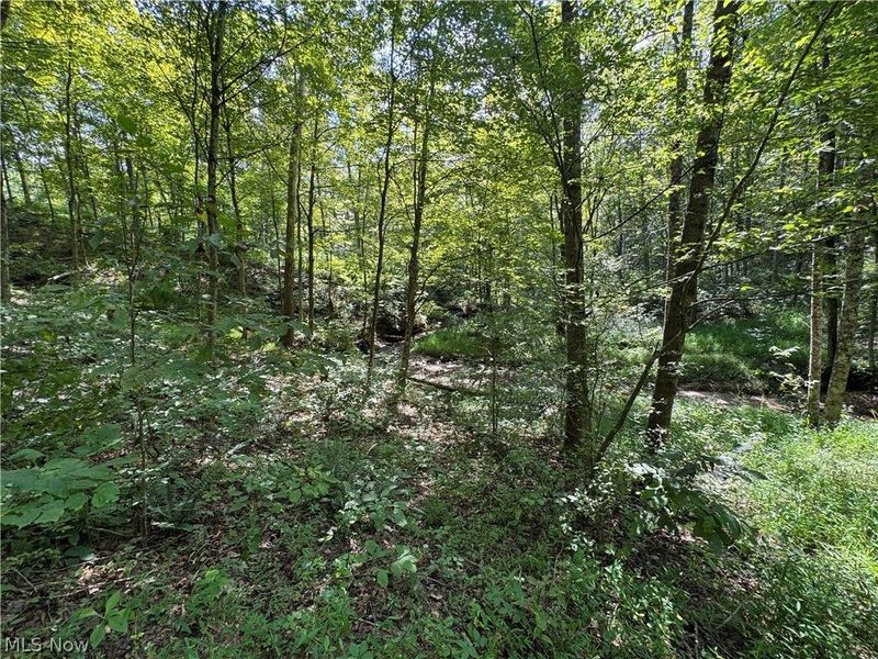 1475 St Rte 124, Coolville, OH 45723 Photo 35