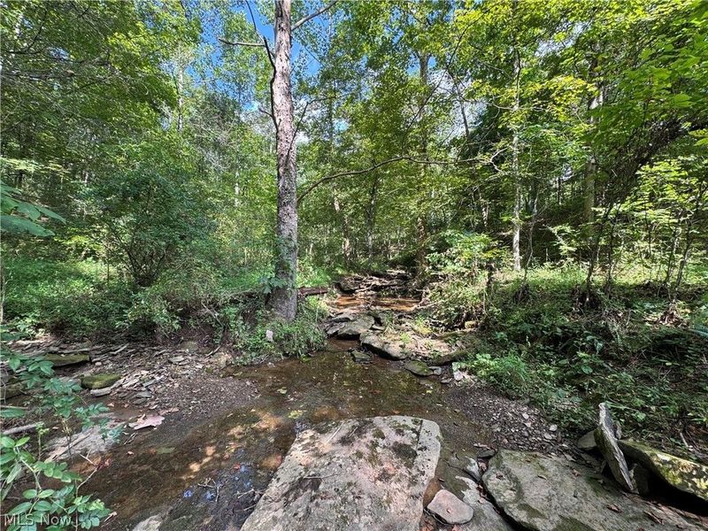 1475 St Rte 124, Coolville, OH 45723 Photo 37