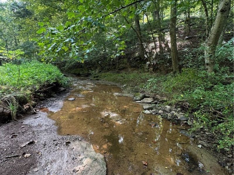 1475 St Rte 124, Coolville, OH 45723 Photo 40