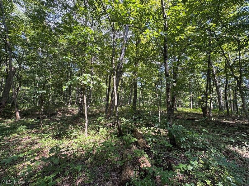 1475 St Rte 124, Coolville, OH 45723 Photo 41