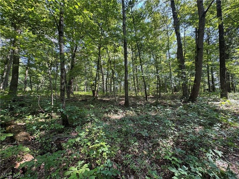 1475 St Rte 124, Coolville, OH 45723 Photo 43